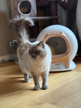 Hele fijne set voor onze kat review photo