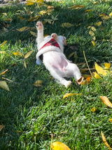 Jeanie Lou Alaimo review photo