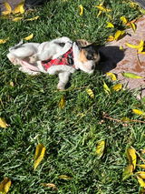 Jeanie Lou Alaimo review photo