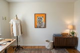 Roryshaw review photo