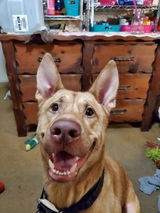 Stacie S. review photo