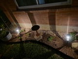 brandon.lewis49 review photo