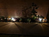 brandon.lewis49 review photo