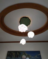 Carol Hollenshead review photo