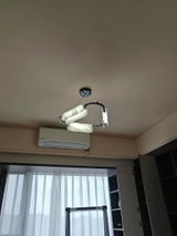 birdhappy review photo