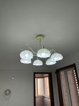 ,Victor Zablit review photo