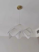 Carol Hollenshead review photo