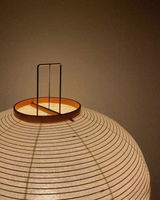 Susan T. Schaefer review photo