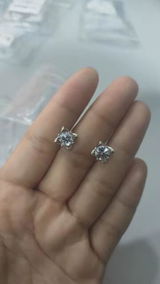 Alejandra R. review photo
