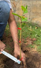 Pinakin Gurjar review photo