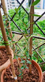Praveen Rai review photo