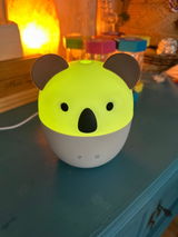 B.SD. review photo