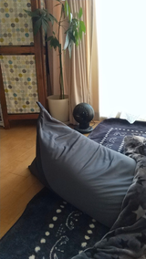 みぃ review photo