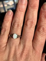 Kimberleigh Hammes review photo