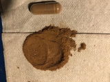 Tash review photo