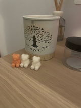 Iri review photo