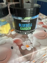 Luncanu M. review photo