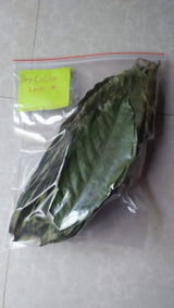 Adam S. review photo