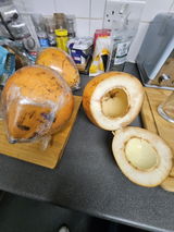 Susan Butchers review photo