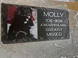 Lois Donnelly review photo