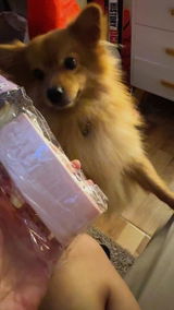 R*****9 review photo
