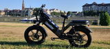 Zoran Mikulandra review photo
