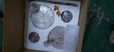 Erika review photo