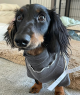 Sophie review photo