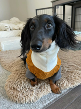 Sophie review photo