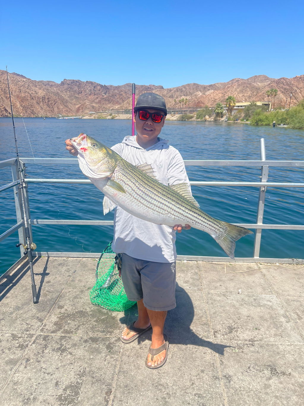 CharkBait!