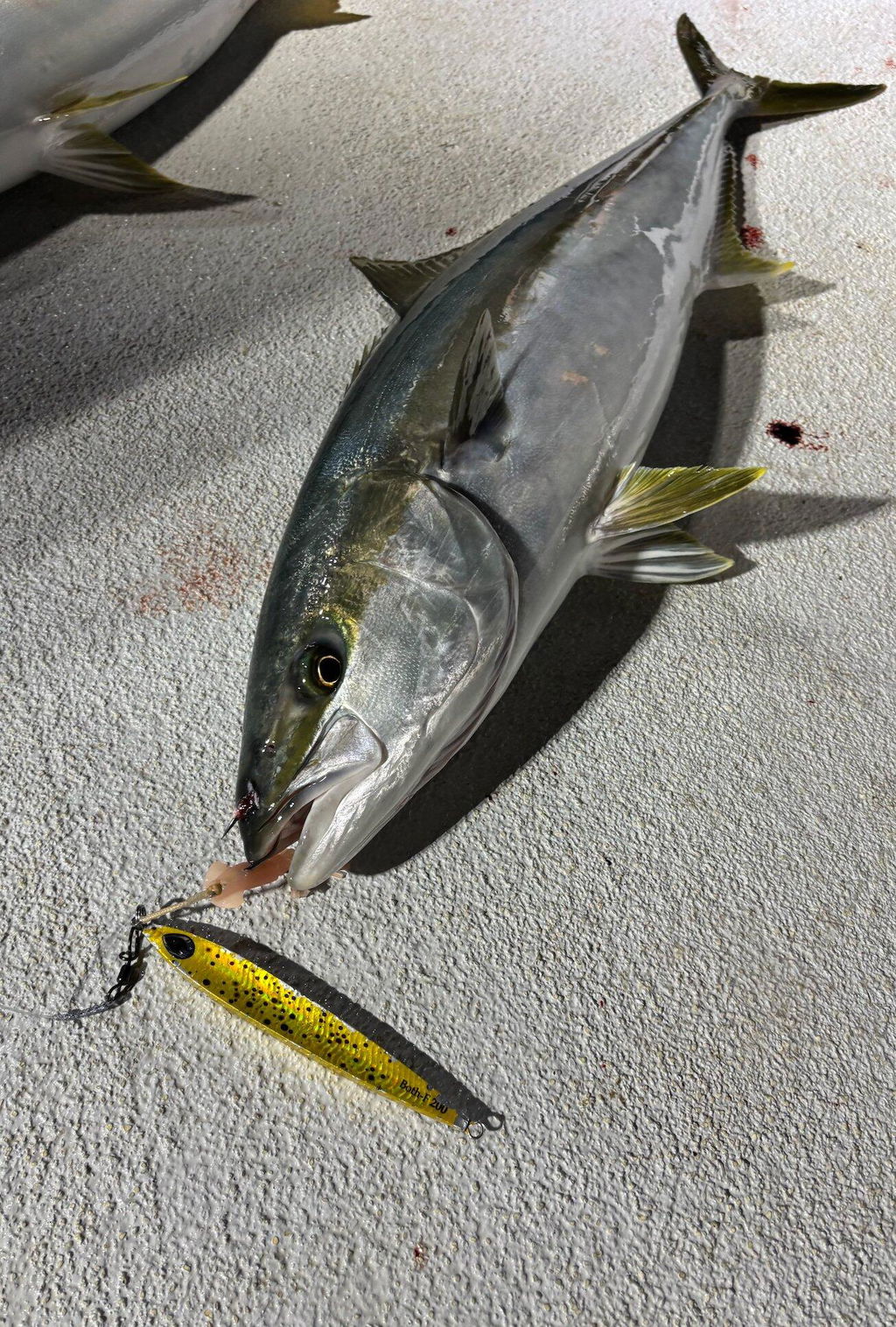Beat Both-F Slow Pitch Jigs