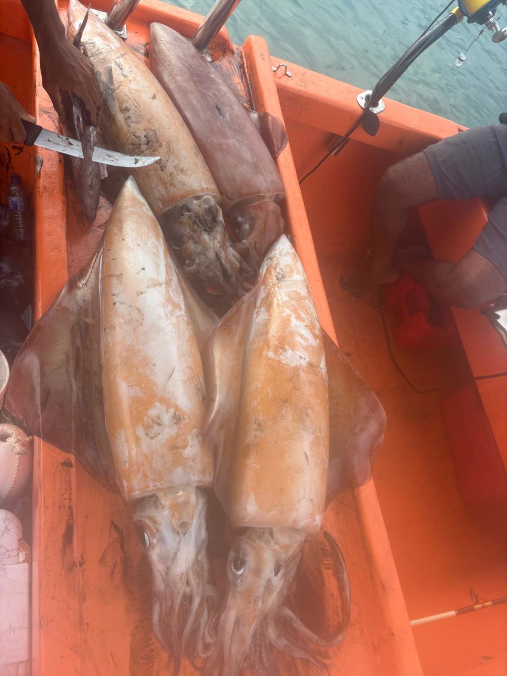 Ahi USA Giant Squid Jigs