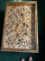 Jayne review photo