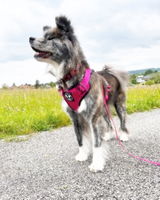 Danis Saskia review photo