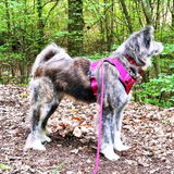 Danis Saskia review photo