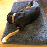 Tabea review photo