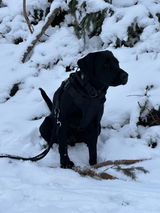 Sabe Hösli review photo