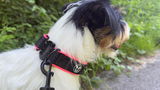 Claudia review photo