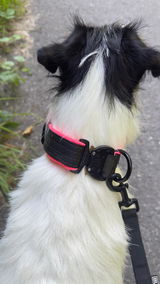 Claudia review photo