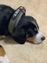 Jinx review photo