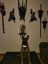 dario petkovic review photo