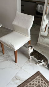 Mariana Lopes review photo