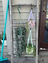 Makenzie S review photo