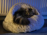 Jolien W. review photo