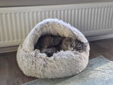 Jolien W. review photo