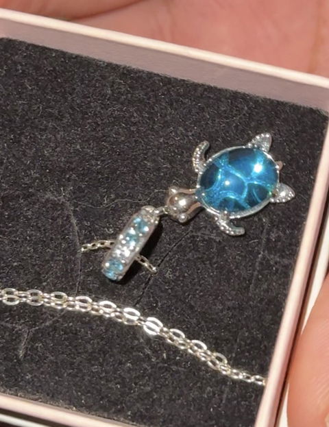 Charm Tortuga