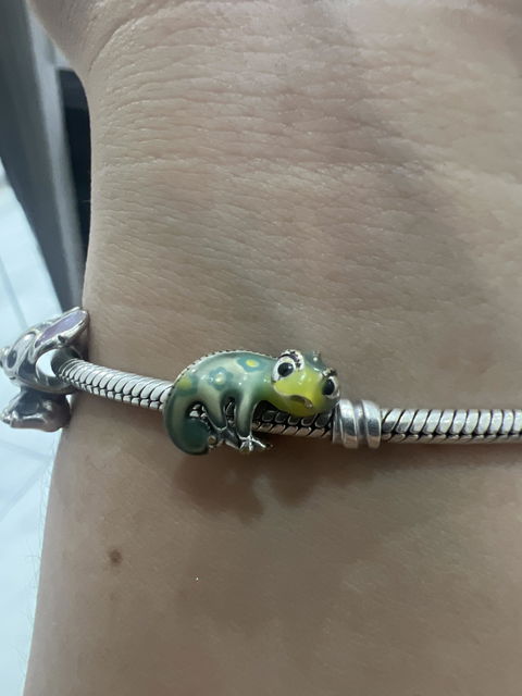 Charm Camaleon Pascal Enredados