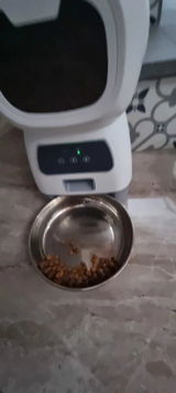 Philippine W. review photo