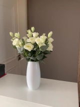 Verena review photo