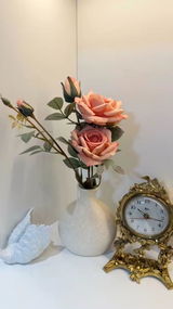Marianne review photo